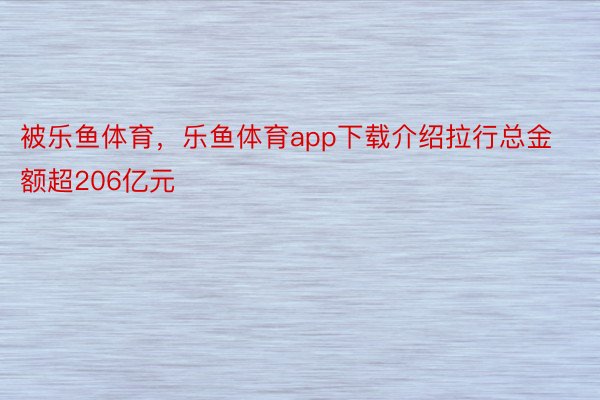 被乐鱼体育，乐鱼体育app下载介绍拉行总金额超206亿元