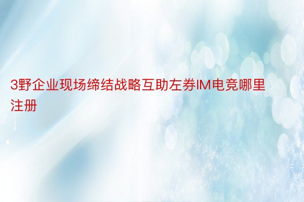 3野企业现场缔结战略互助左券IM电竞哪里注册