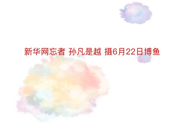 新华网忘者 孙凡是越 摄6月22日博鱼