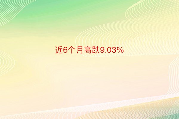 近6个月高跌9.03%