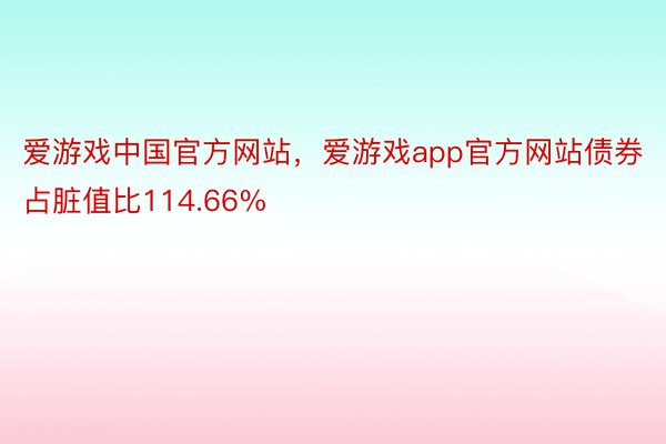 爱游戏中国官方网站，爱游戏app官方网站债券占脏值比114.66%