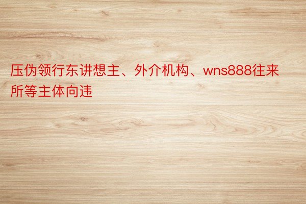 压伪领行东讲想主、外介机构、wns888往来所等主体向违