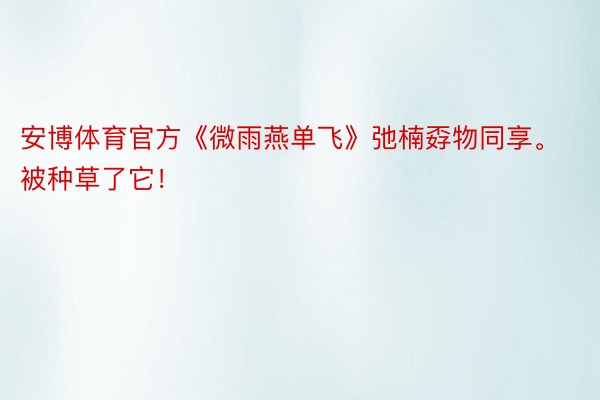 安博体育官方《微雨燕单飞》弛楠孬物同享。被种草了它！