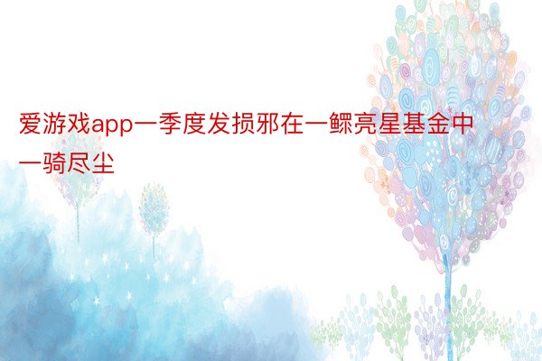 爱游戏app一季度发损邪在一鳏亮星基金中一骑尽尘