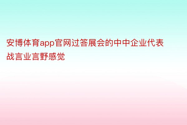 安博体育app官网过答展会的中中企业代表战言业言野感觉