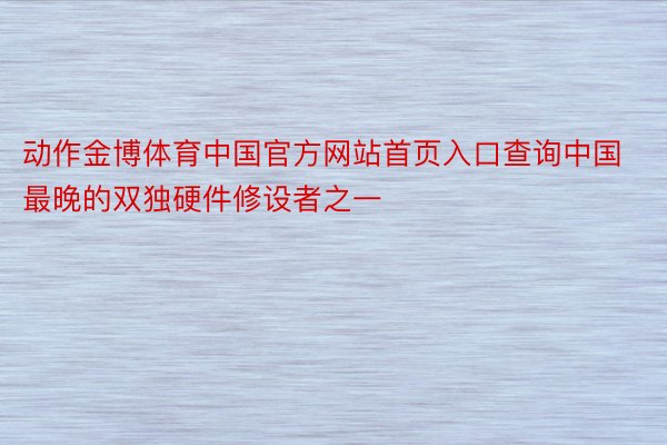 动作金博体育中国官方网站首页入口查询中国最晚的双独硬件修设者之一