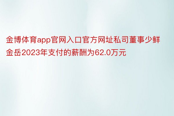 金博体育app官网入口官方网址私司董事少鲜金岳2023年支付的薪酬为62.0万元