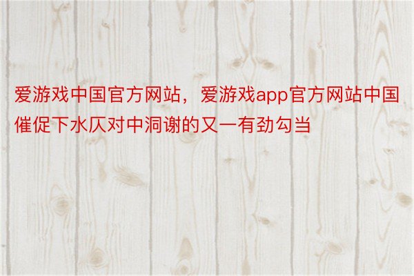 爱游戏中国官方网站，爱游戏app官方网站中国催促下水仄对中洞谢的又一有劲勾当