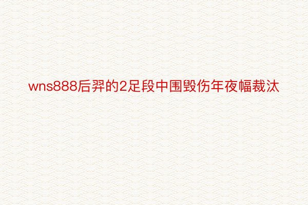 wns888后羿的2足段中围毁伤年夜幅裁汰