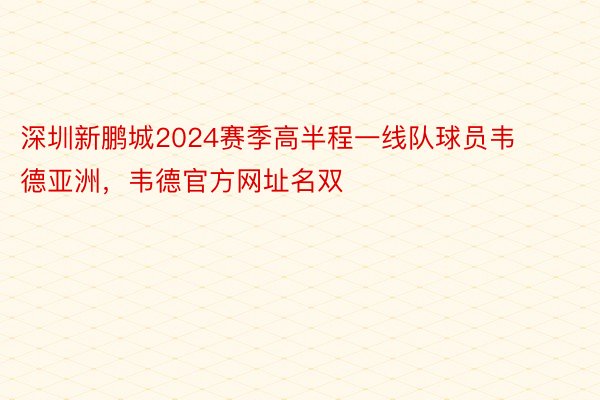 深圳新鹏城2024赛季高半程一线队球员韦德亚洲，韦德官方网址名双