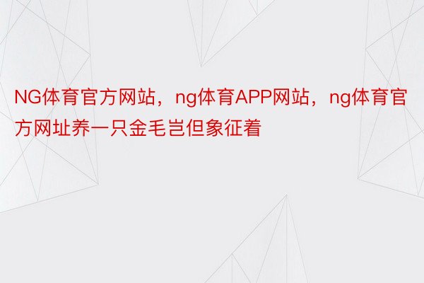 NG体育官方网站，ng体育APP网站，ng体育官方网址养一只金毛岂但象征着