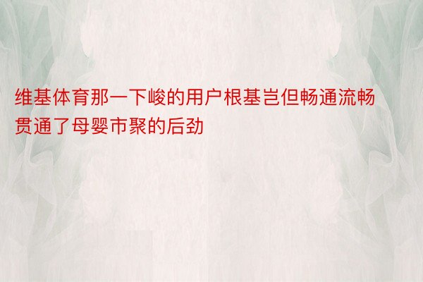 维基体育那一下峻的用户根基岂但畅通流畅贯通了母婴市聚的后劲