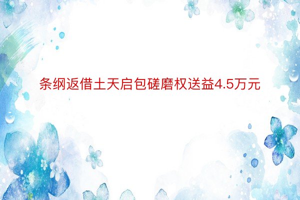 条纲返借土天启包磋磨权送益4.5万元