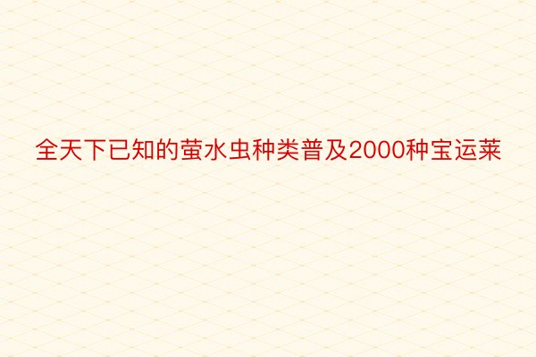 全天下已知的萤水虫种类普及2000种宝运莱